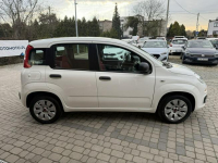 Fiat Panda 1,2 69KM  Klimatyzacja Orzech - zdjęcie 5