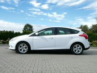 Ford Focus 1.6 TDCi 95KM [Eu5] Hatchback +Opony zima -Zobacz Goczałkowice-Zdrój - zdjęcie 9