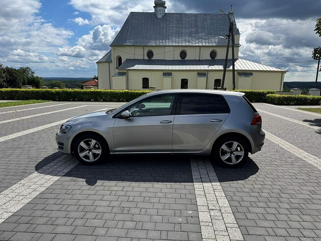 Volkswagen Golf VII 1,6 TDI 105KM Led Navi Klimatronik Bliżyn - zdjęcie 12