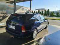 Ford Focus Giha 1.6 , 1999 r. Malbork - zdjęcie 4