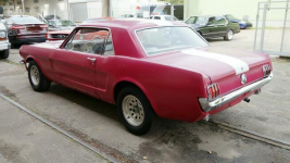 Ford Mustang V8 289cu Automat Sprowadzony C-code LUXURYCLASSIC Koszalin - zdjęcie 3