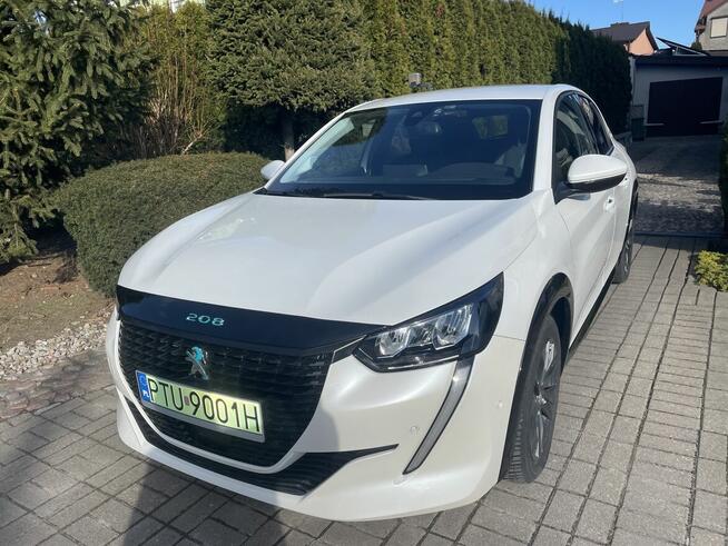 Sprzedam Turek - zdjęcie 5