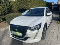 Sprzedam Turek - zdjęcie 5