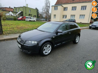 Audi A3 Opłacony Zdrowy  Zadbany Serwisowany MPI Klima Alu 2 kmpl kół Kisielice - zdjęcie 1