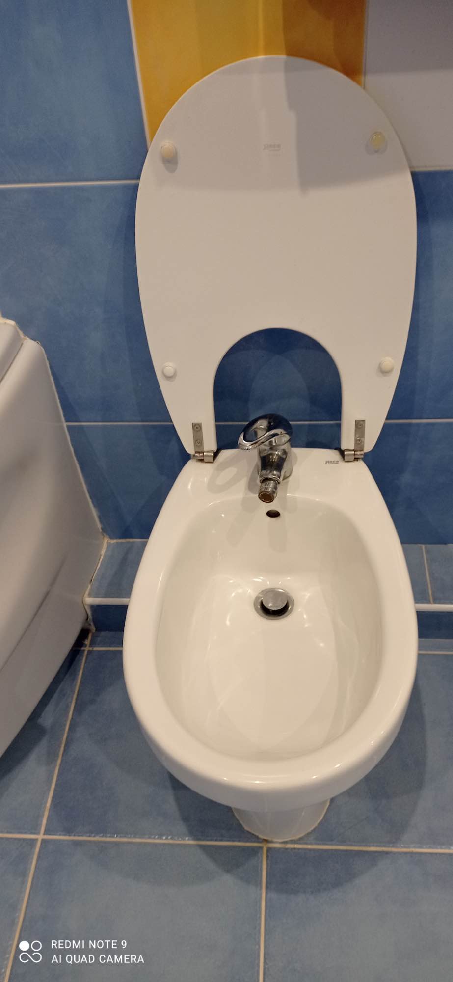 Sprzedam Sowlany - zdjęcie 2