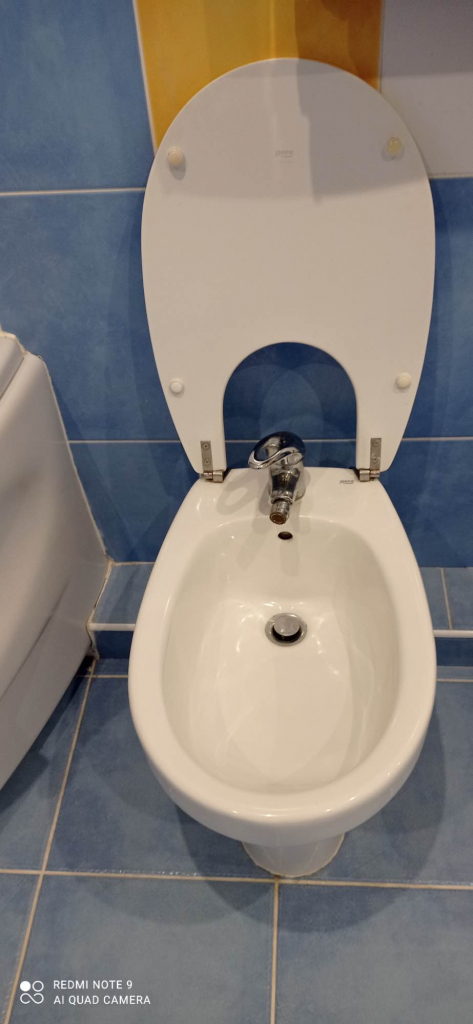 Sprzedam Sowlany - zdjęcie 2