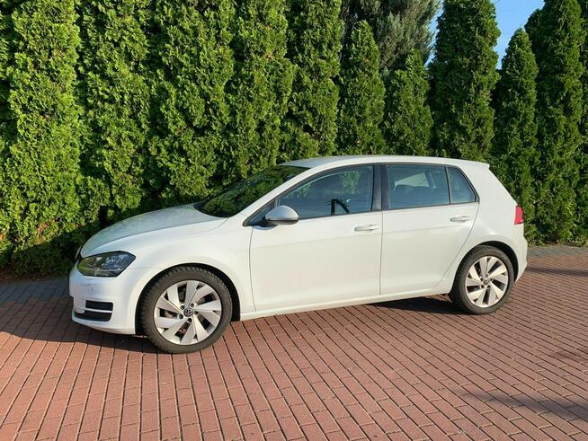 Volkswagen Golf 1.6 TDI Xenon Grzane fotele Navi BT Baranowo - zdjęcie 2