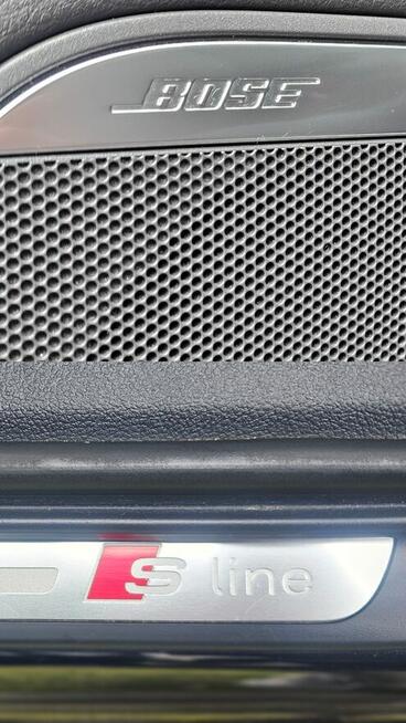 Audi A6 Psie Pole - zdjęcie 10
