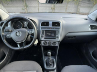 Volkswagen Polo Allstar Zielona Łąka - zdjęcie 8
