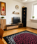 2 oddzielne pokoje w budynku z windą na Powiślu