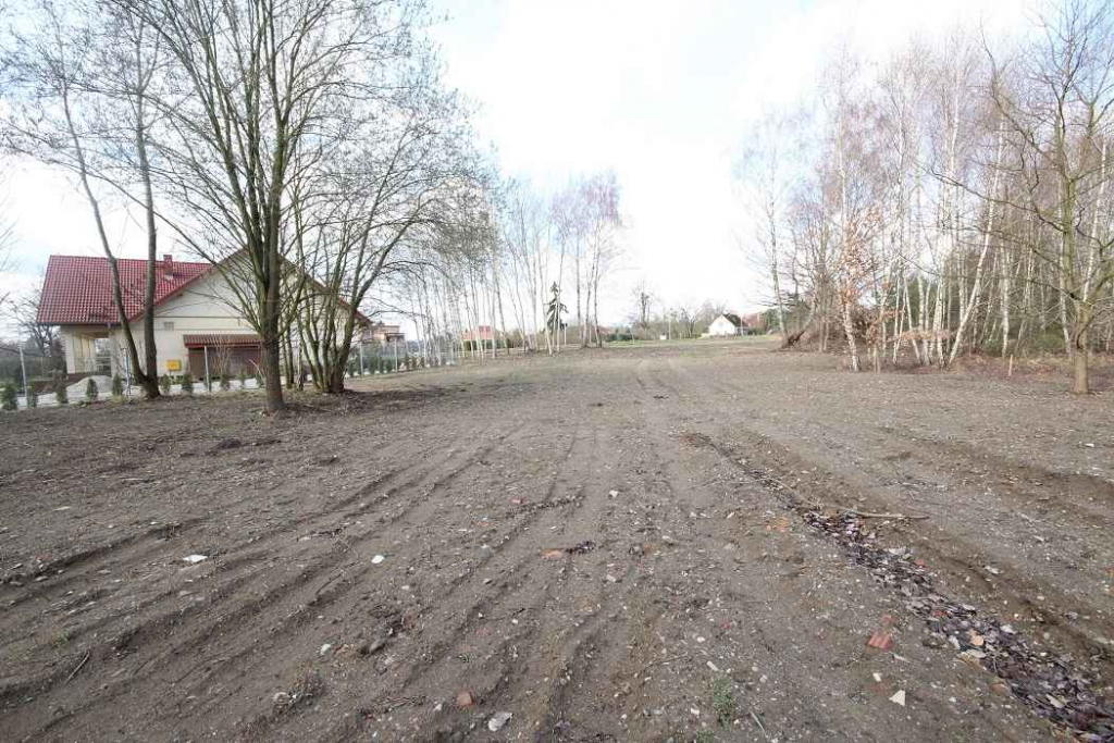 Dz. Inwestycyjna (3498 m2) ok. Trzebnickiej MEDIA (Wilczyn) Wilczyn - zdjęcie 5