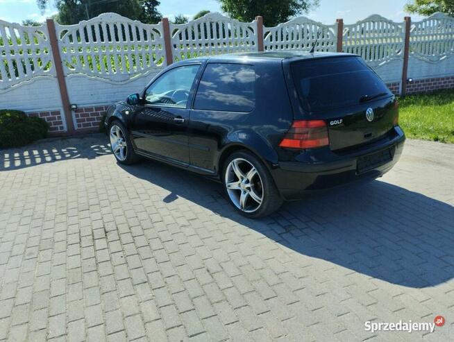 Vw Golf 4 1.6 SR 1999 Sicienko - zdjęcie 4