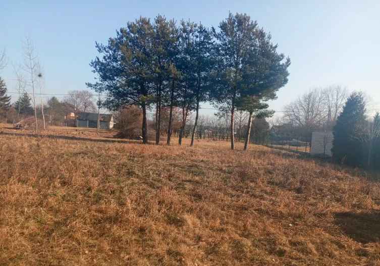 Działka budowlana z WZ , 2 km od stacji PKP Pilawa Pilawa - zdjęcie 5