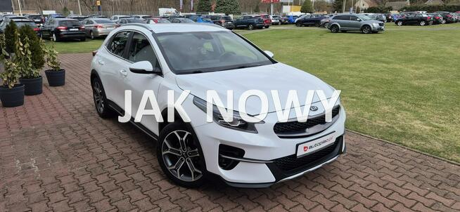 Kia XCeed KAMERA-HAK-LED-MEDIA Paproć - zdjęcie 1