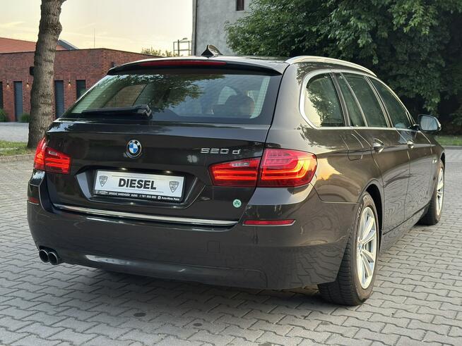 LCI F11 520d LIFT 2.0d 184KM Automat Navi iDrive Pdc Led Jasne wnętrze Wijewo - zdjęcie 4