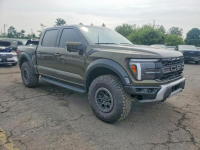 Ford F150 RAPTOR / AWD / niski przebieg Chwaszczyno - zdjęcie 3