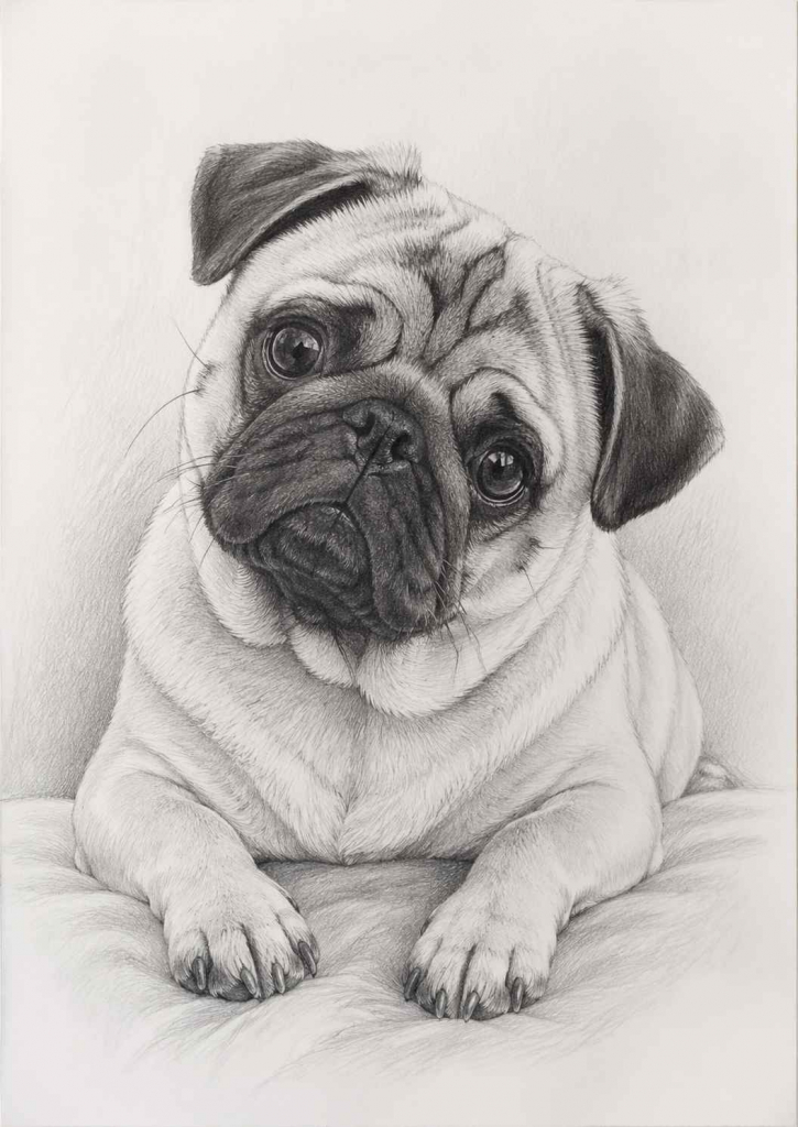 Portrety na zamówienie Śródmieście - zdjęcie 11