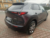 Mazda CX-30 Radar, Bliss, Kamera ,Hedup,El.Klapa, As. Park. GWARANCJA Zagórze - zdjęcie 7