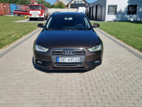 Audi A4 2.0tdi 177KM Automat S line Bixenon Ledy Navi Hak Raty Zamiana Strobice - zdjęcie 5