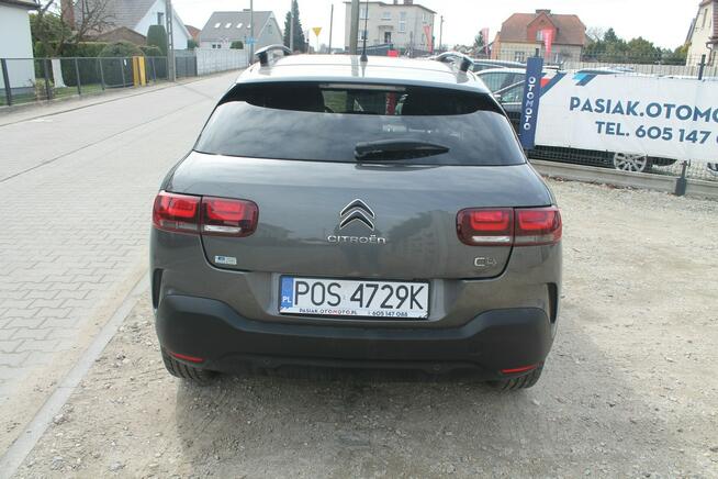 Citroen C4 Cactus Ostrów Wielkopolski - zdjęcie 6