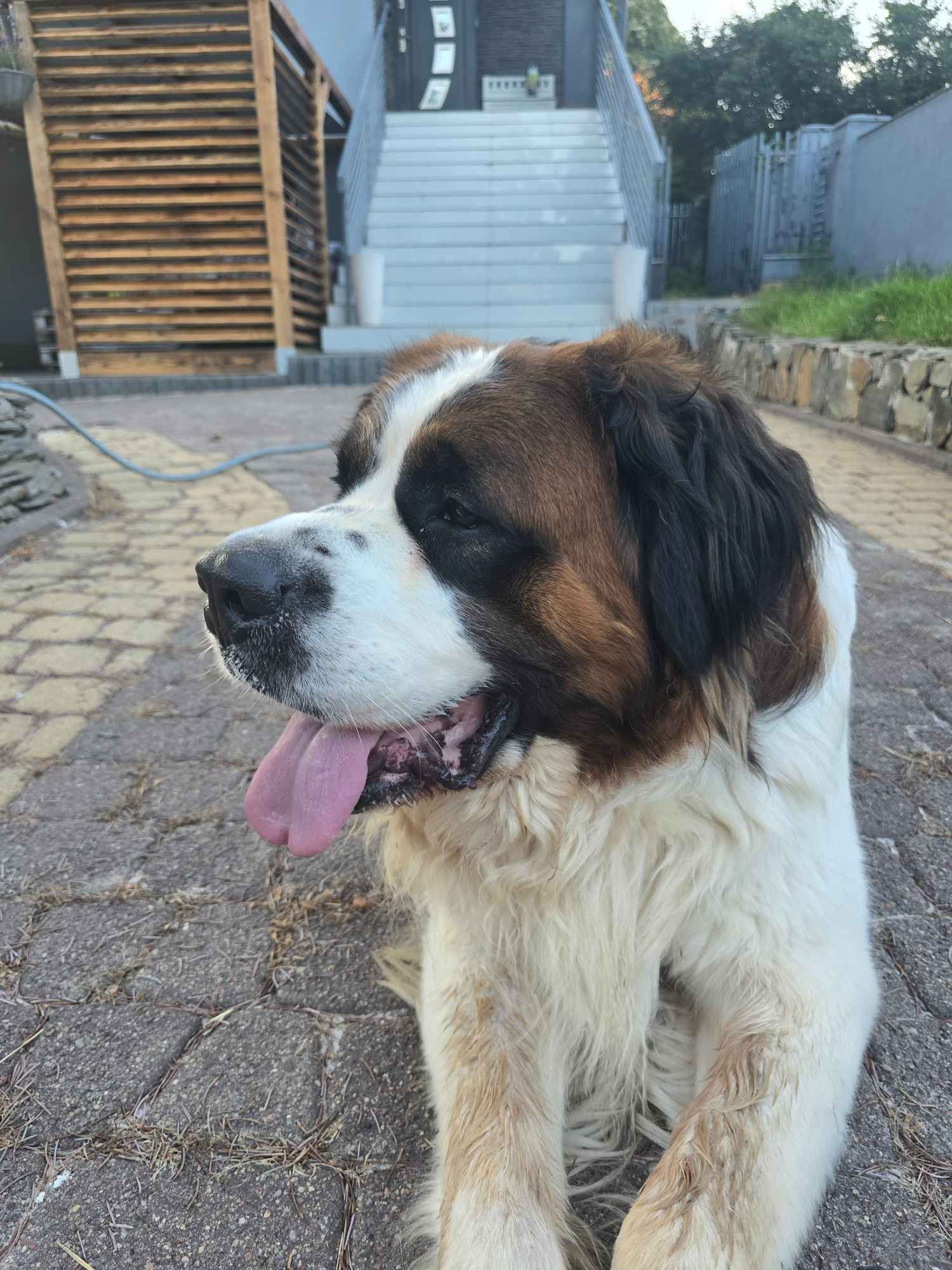 Bernardyn Zgierz - zdjęcie 3