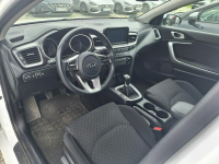 Kia Nowy Ceed 1,4  140 KM 6MT TGDI  Wersja M / Podgrzewane fotele Poznań - zdjęcie 10