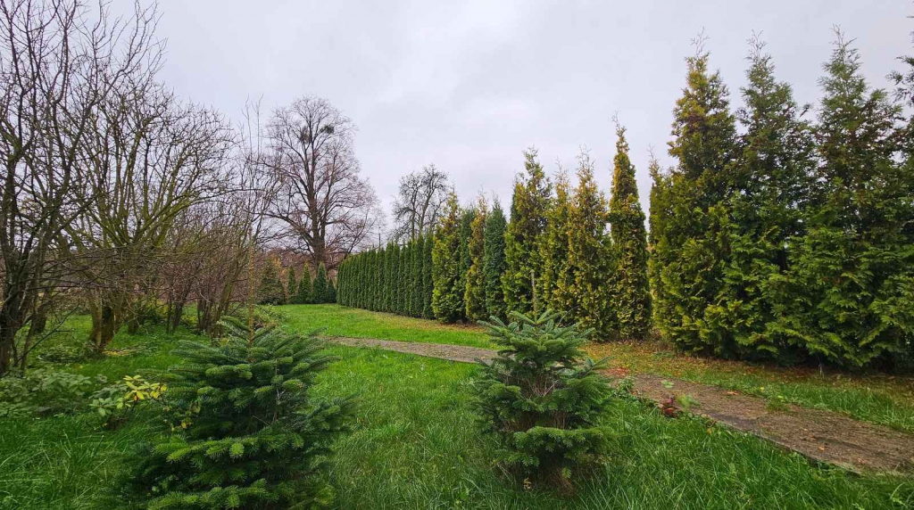 2pok, 182met, Dom wolnostojący PIWNICA/OGRÓD (Radzieszyn) Radzieszyn - zdjęcie 7