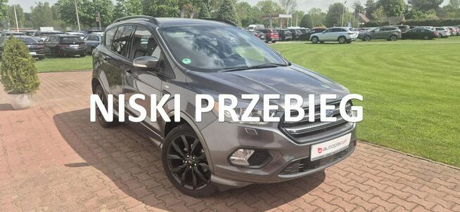 Ford Kuga ST-LINE-KAMERA-START-STOP Paproć - zdjęcie 1