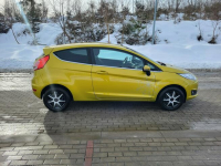 Ford Fiesta Super Stan, podgrzewane fotele, climatronic, Słupsk - zdjęcie 7