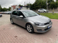 Volkswagen Golf Kobylnica - zdjęcie 4