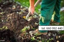 Koszenie trawników, jesienne prace ogrodowe Gdańsk - zdjęcie 4