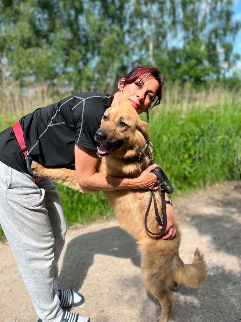 Yuki - młodziutka, przyjazna sunia szuka domu! Olsztyn - zdjęcie 2
