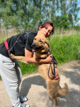 Yuki - młodziutka, przyjazna sunia szuka domu! Olsztyn - zdjęcie 2