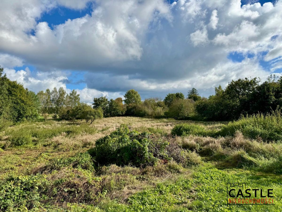 Działka|Inwestycyjna|Górzyno Gorzyno - zdjęcie 3