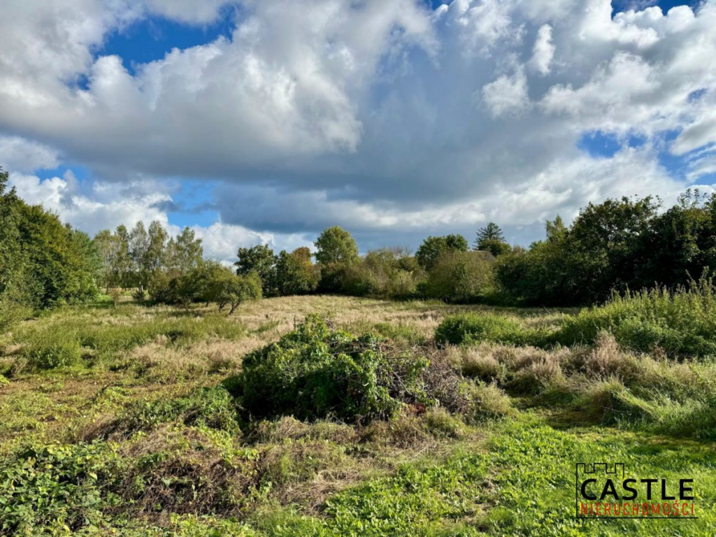 Działka|Inwestycyjna|Górzyno Gorzyno - zdjęcie 3