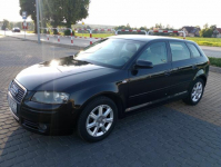 Audi A3 2.0FSI, 2005, I właściciel w PL, nowy rozrząd Lublin - zdjęcie 9