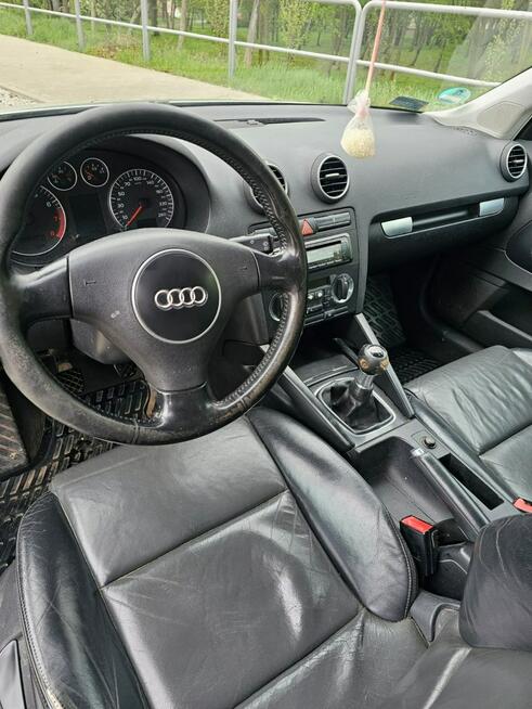 Audi A3 Benzyna 2.0 - 2004r - Klimatyzacja Głogów - zdjęcie 6