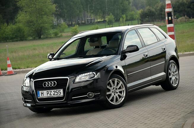 Audi A3 2,0TDI*140KM*Skóry*S-line*LED*Xenon*Niemcy Ostrów Mazowiecka - zdjęcie 6