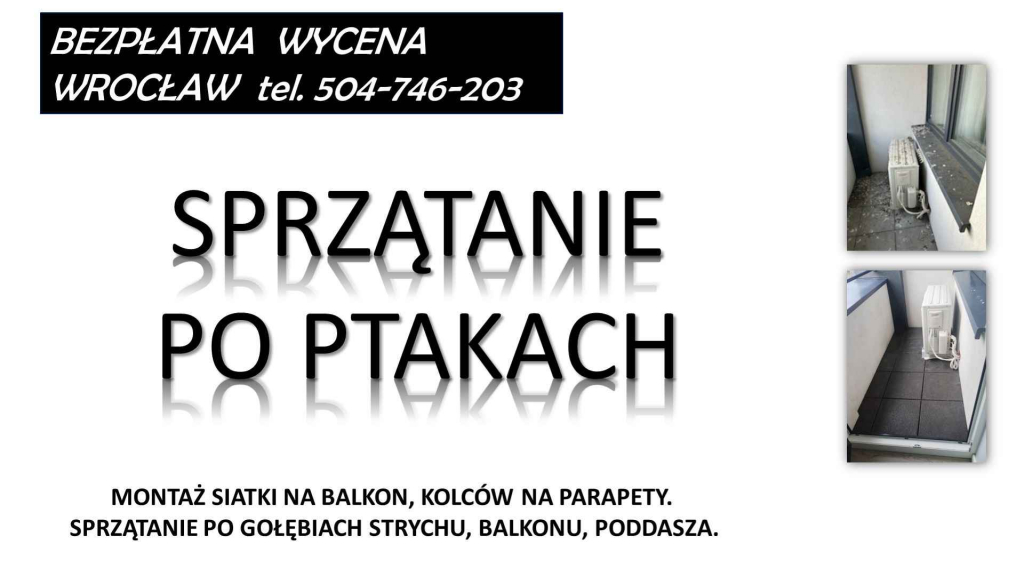 Sprzątanie balkonu. T 504-746-203. z gołębi, ptaków, odchodów. Wrocław Psie Pole - zdjęcie 4