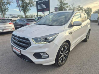 Ford Kuga 2.0TDCI 150KM STLine Pełen Serwis Gniewkowo - zdjęcie 2
