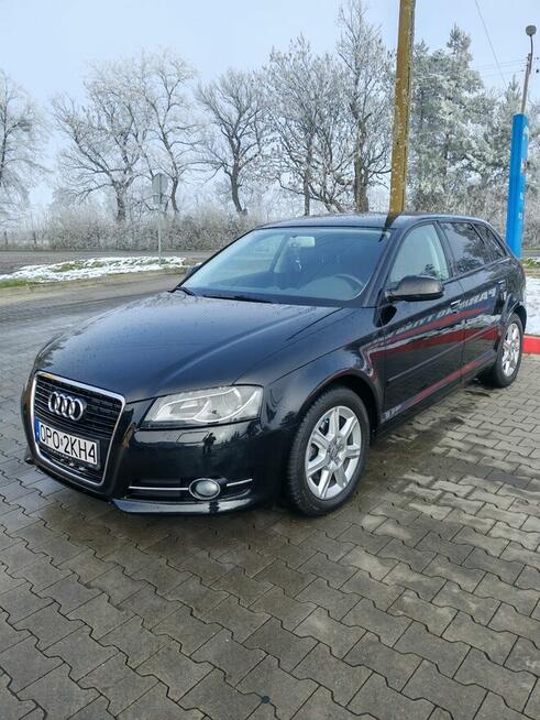 Audi, A3,2.0,TDI,140 Chróścina - zdjęcie 8