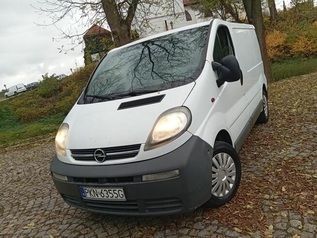 ŁADNE/VIVARO/1.9/DIESEL/1-WŁAŚĆ/ZAREJESTR/ Gostynin - zdjęcie 1