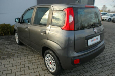 Fiat Panda Lpg fabryczny, Dębica - zdjęcie 3