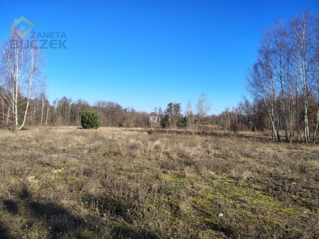 Sprzedam działki budowlane w Nowych Mostkach Nowe Mostki - zdjęcie 4