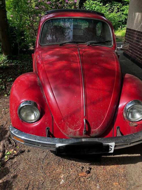 VW Garbus Stary Lubotyń - zdjęcie 1
