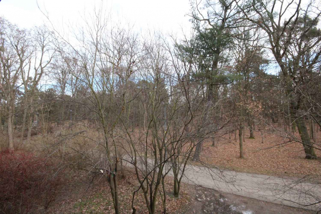 1pok, 24met, okolice Parku Prackiego TARAS/PO REMONCIE (Wrocław) Fabryczna - zdjęcie 12