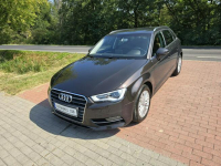 Audi A3 1,6 tdi Sportback 110KM z bardzo niskim przebiegiem 127 tyskm! Cielcza - zdjęcie 1