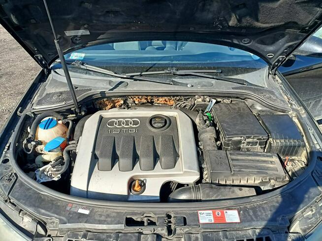 Audi A3 1.9TDI 105km 04r Tarnów - zdjęcie 8