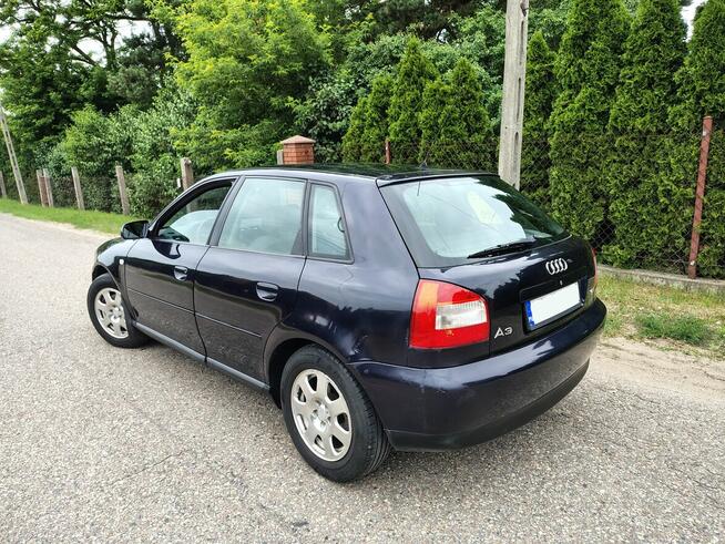 Audi A3 8L LIFT *5drzwi* 1.8 Turbo* 4900zł Ostrołęka - zdjęcie 6