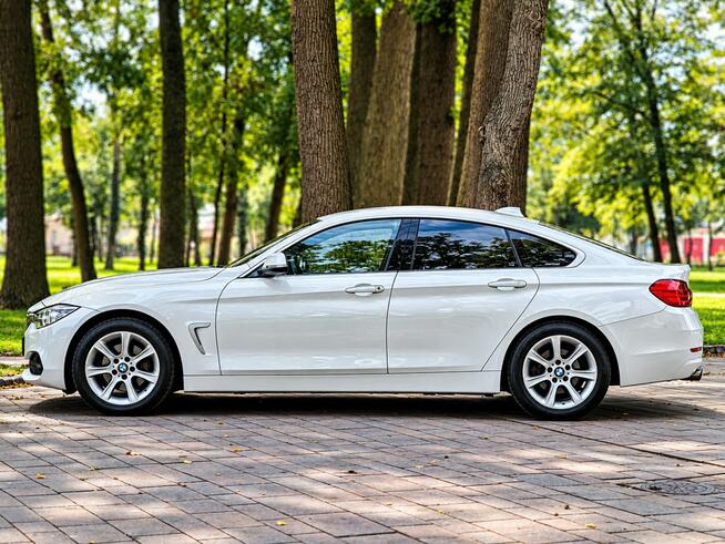 BMW 420 Sadlno - zdjęcie 5
